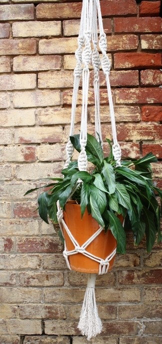 macrame plant hanger Adelaide Australia