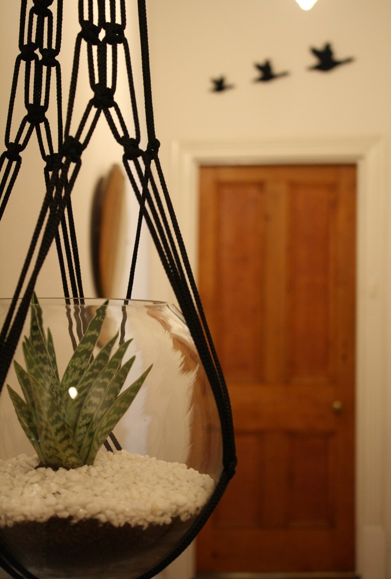 macrame plant hanger Adelaide Australia