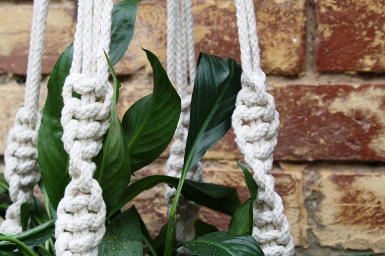 macrame plant hanger Adelaide Australia