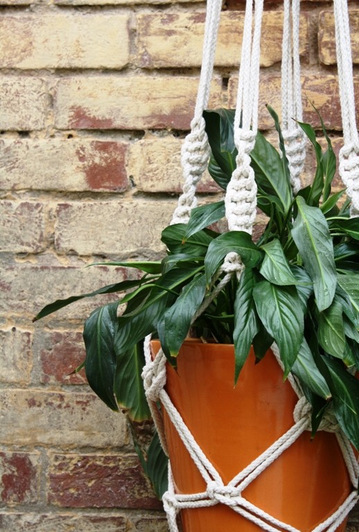 macrame plant hanger Adelaide Australia