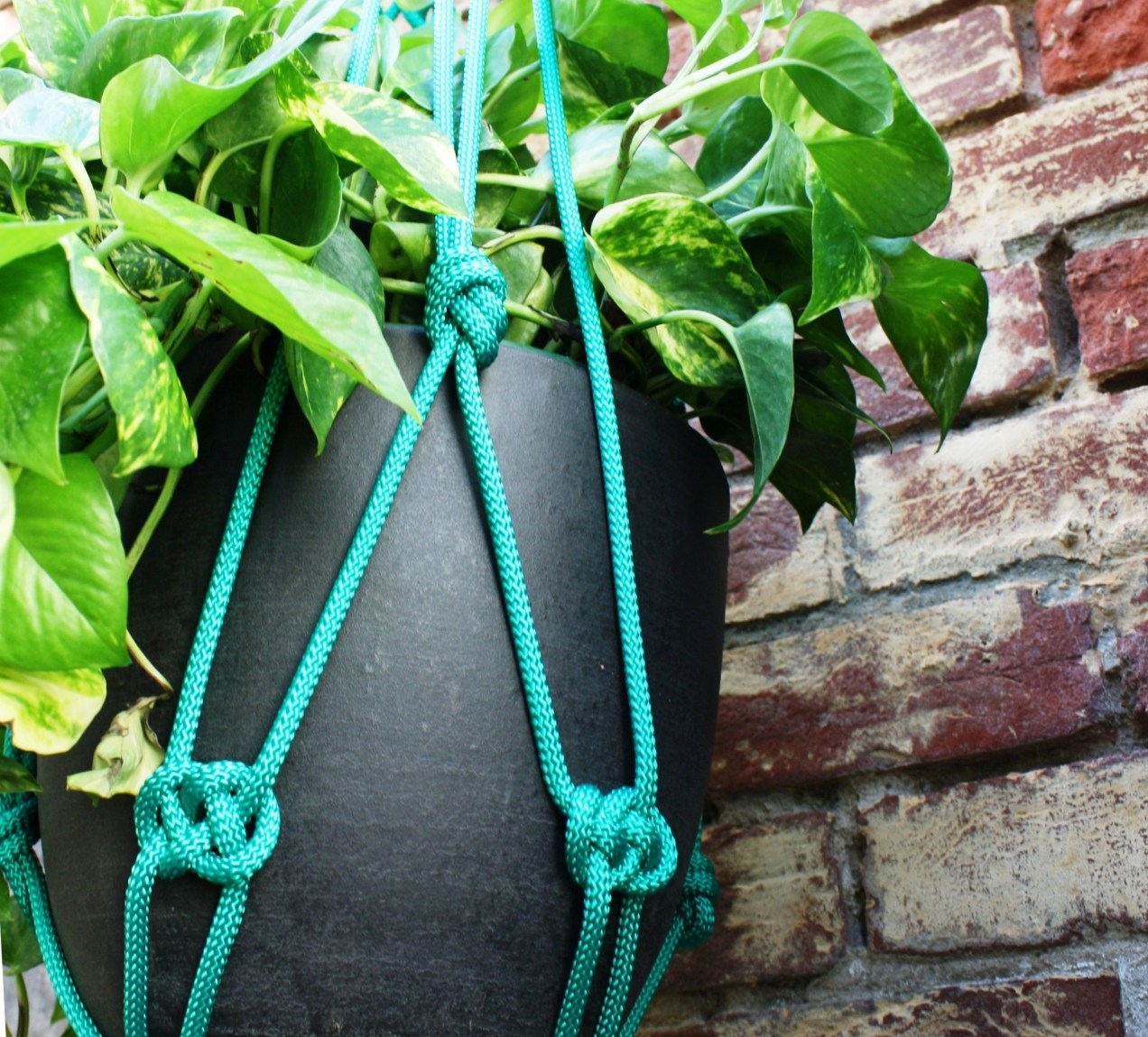 macrame plant hanger Adelaide Australia