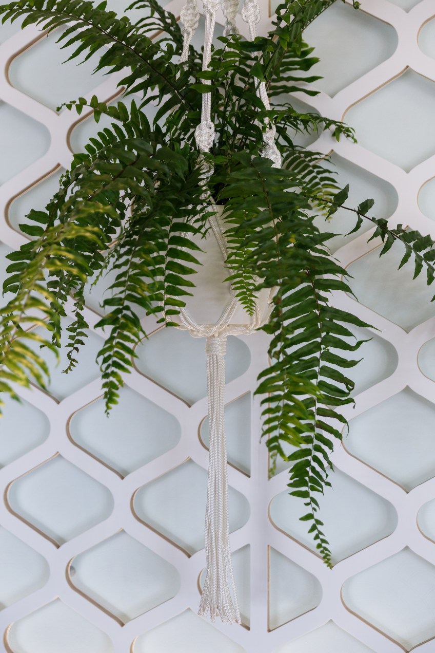 modern macrame plant hanger Australia
