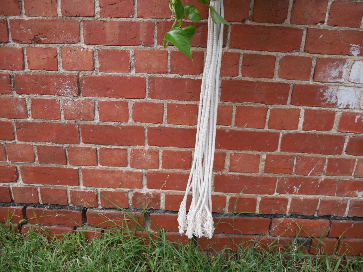 macrame plant hanger Adelaide Australia