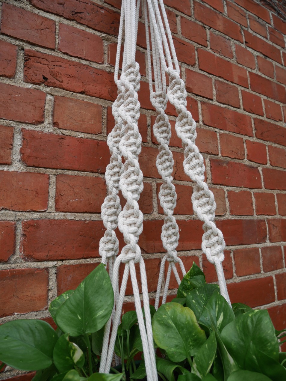 macrame plant hanger Adelaide Australia